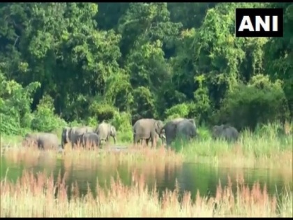 Assam: Kaziranga National Park to open for tourists from October 21, only jeep safari to be allowed | Assam: Kaziranga National Park to open for tourists from October 21, only jeep safari to be allowed