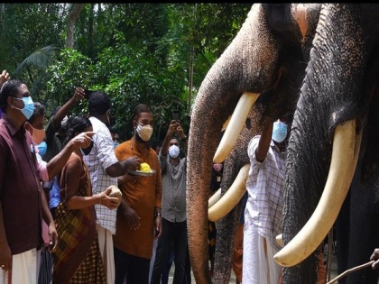 Kerala: COVID-19 dampens 'Karkidakam' spirit, elephant owners, mahouts struggle to make ends meet | Kerala: COVID-19 dampens 'Karkidakam' spirit, elephant owners, mahouts struggle to make ends meet