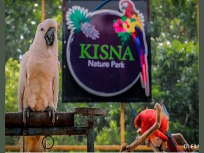 Surat's Kisna Nature Park contributing to conservation of exotic birds, animals | Surat's Kisna Nature Park contributing to conservation of exotic birds, animals
