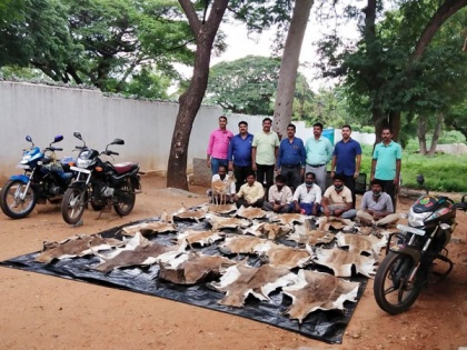 Karnataka forest squad busts gang of poachers, 6 held | Karnataka forest squad busts gang of poachers, 6 held