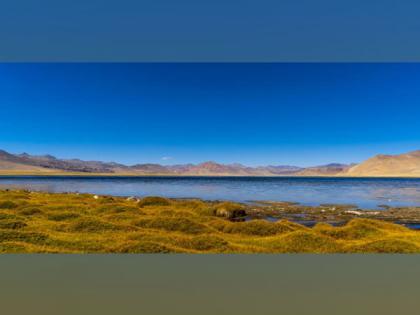 Ladakh's Tso Kar Wetland Complex added to list of Ramsar site | Ladakh's Tso Kar Wetland Complex added to list of Ramsar site