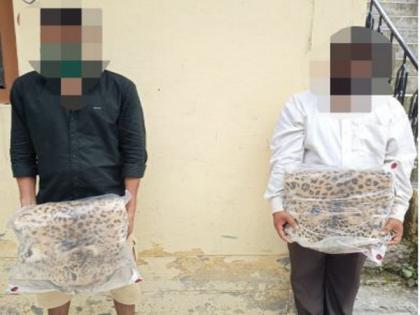 Two arrested for illegally possessing leopard skin in Uttarakhand's Champawat | Two arrested for illegally possessing leopard skin in Uttarakhand's Champawat