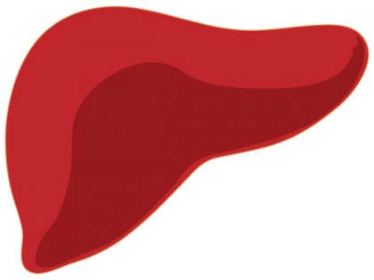 Researchers find promising drug treatment targets for alcohol-related liver disease | Researchers find promising drug treatment targets for alcohol-related liver disease