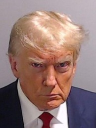 Trump's mug shot puts brake on his poll prospects | Trump's mug shot puts brake on his poll prospects