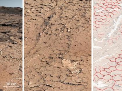 AI may help find life on Mars, other planets with 90% accuracy | AI may help find life on Mars, other planets with 90% accuracy AI may help find life on Mars, other planets with 90% accuracy | AI may help find life on Mars, other planets with 90% accuracy