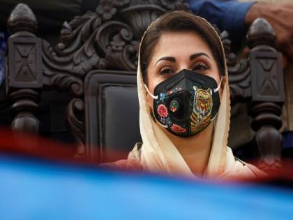 Maryam Nawaz lashes out at PTI government over failure to curb dengue in Pakistan | Maryam Nawaz lashes out at PTI government over failure to curb dengue in Pakistan