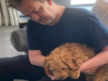 Matthew Perry introduces new pooch to fans, asks 'who's cuter?' | Matthew Perry introduces new pooch to fans, asks 'who's cuter?'