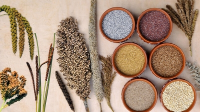 Global Centre of Excellence on Millets to come up in Hyderabad | Global Centre of Excellence on Millets to come up in Hyderabad Global Centre of Excellence on Millets to come up in Hyderabad | Global Centre of Excellence on Millets to come up in Hyderabad