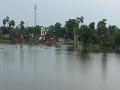 Flood paralyses life in Bihar's Muzaffarpur district | Flood paralyses life in Bihar's Muzaffarpur district