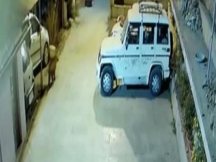 Caught on cam: Leopard enters local's house in Uttarakhand's Nainital, kills pet | Caught on cam: Leopard enters local's house in Uttarakhand's Nainital, kills pet