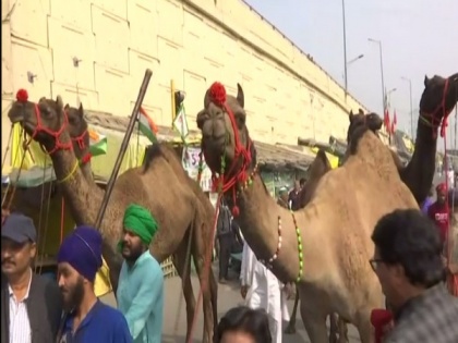Nihang Sikhs arrive on camels at Delhi's Ghazipur border to celebrate Centre's decision to repeal three farm laws | Nihang Sikhs arrive on camels at Delhi's Ghazipur border to celebrate Centre's decision to repeal three farm laws