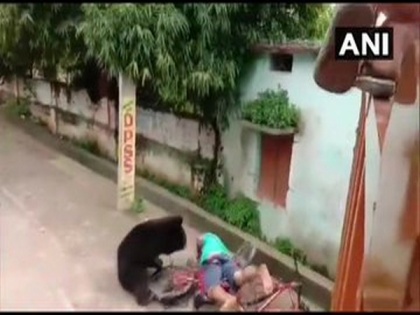 Wild bear attacks man at residential area in Odisha's Kalahandi | Wild bear attacks man at residential area in Odisha's Kalahandi