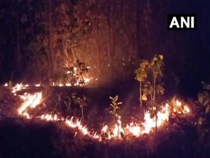 Fire in Similipal biosphere reserve now under control | Fire in Similipal biosphere reserve now under control