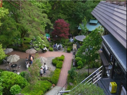Okutama area in Japan provides beautiful nature | Okutama area in Japan provides beautiful nature