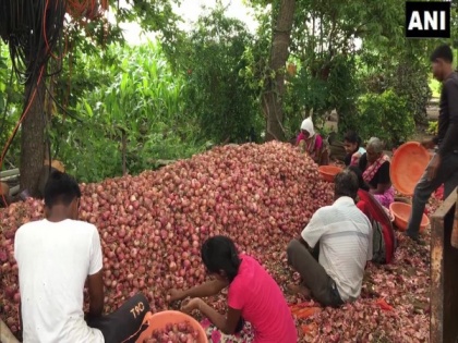 Maharashtra: Onion prices surge in Nashik's Lasalgaon mandi | Maharashtra: Onion prices surge in Nashik's Lasalgaon mandi