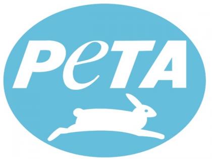 TN: PETA India offers Rs 50,000 for information of culprits in Jallikattu bull killing incident | TN: PETA India offers Rs 50,000 for information of culprits in Jallikattu bull killing incident