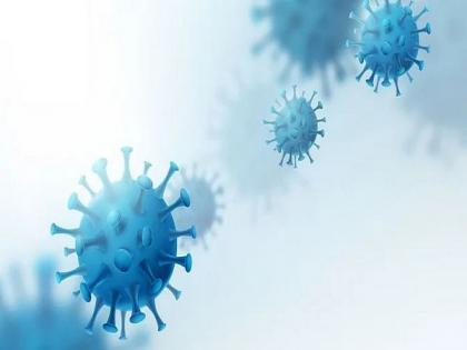 Rajasthan reports 53 new cases of Omicron variant of COVID-19 | Rajasthan reports 53 new cases of Omicron variant of COVID-19 Rajasthan reports 53 new cases of Omicron variant of COVID-19 | Rajasthan reports 53 new cases of Omicron variant of COVID-19