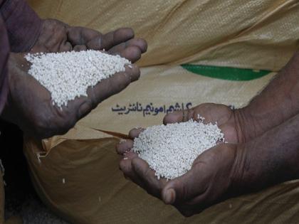 Farmers in Pakistan's Khyber Pakhtunkhwa province face fertiliser shortage | Farmers in Pakistan's Khyber Pakhtunkhwa province face fertiliser shortage