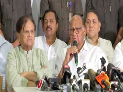 Not in a hurry to form government in Maharashtra: Sharad Pawar | Not in a hurry to form government in Maharashtra: Sharad Pawar