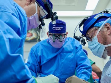 Pig kidney continues to function in human body after 32 days, scientists rejoice | Pig kidney continues to function in human body after 32 days, scientists rejoice Pig kidney continues to function in human body after 32 days, scientists rejoice | Pig kidney continues to function in human body after 32 days, scientists rejoice