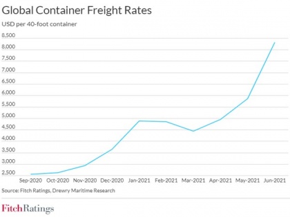 Global container port congestion squeezes operators' margins: Fitch | Global container port congestion squeezes operators' margins: Fitch