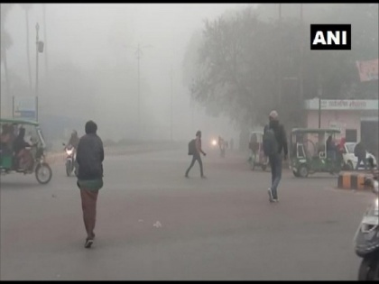 Dense fog lowers visibility in UP's Prayagraj | Dense fog lowers visibility in UP's Prayagraj