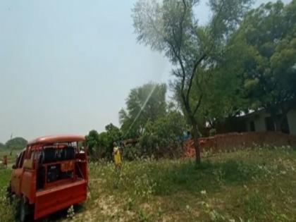 Locust swarms attack villages in Prayagraj | Locust swarms attack villages in Prayagraj