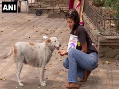 NGO feeds stray animals in Pune amid COVID-19 lockdown | NGO feeds stray animals in Pune amid COVID-19 lockdown