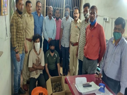 Pune forest dept arrest 2 for smuggling tortoises | Pune forest dept arrest 2 for smuggling tortoises