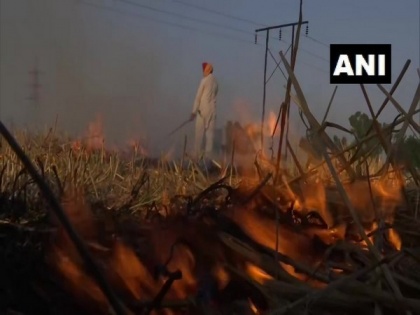 Stubble burning in Punjab may worsen air quality | Stubble burning in Punjab may worsen air quality