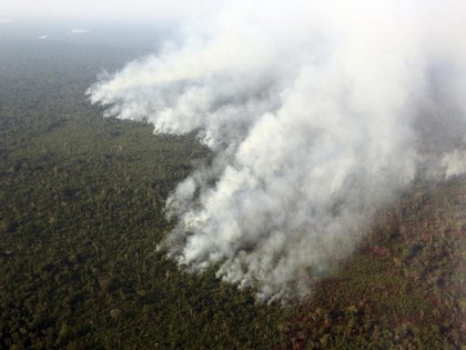 B-town concerned over Amazon rainforest blaze | B-town concerned over Amazon rainforest blaze