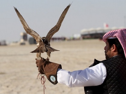 Pakistan issues hunting permits to 'Arab dignitaries' for protected bird species | Pakistan issues hunting permits to 'Arab dignitaries' for protected bird species