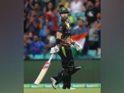 Ind vs Aus: It feels like I have restarted my career, says Wade | Ind vs Aus: It feels like I have restarted my career, says Wade