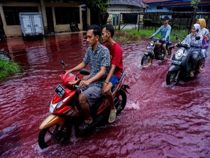 Waters in Indonesian village turn red as floods hit dye-manufacturing factory | Waters in Indonesian village turn red as floods hit dye-manufacturing factory