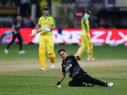 Australia 'put us under pressure' and were outstanding in chase, says Williamson | Australia 'put us under pressure' and were outstanding in chase, says Williamson