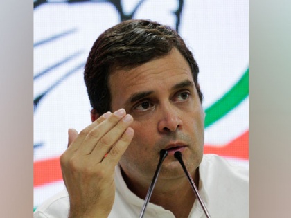 Congress President Rahul Gandhi condemns killing of Haryana Cong leader Vikas Chaudhary | Congress President Rahul Gandhi condemns killing of Haryana Cong leader Vikas Chaudhary