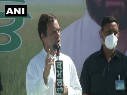 Centre is doing what the East India Company had done: Rahul Gandhi | Centre is doing what the East India Company had done: Rahul Gandhi