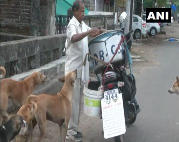 Nagpur man feeding 190 stray dogs with chicken biryani since beginning of pandemic | Nagpur man feeding 190 stray dogs with chicken biryani since beginning of pandemic