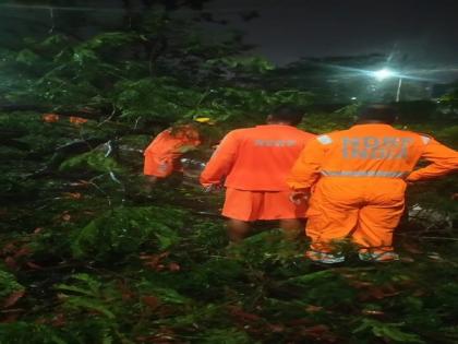 Cyclone Amphan: Road clearance, restoration work underway in WB | Cyclone Amphan: Road clearance, restoration work underway in WB Cyclone Amphan: Road clearance, restoration work underway in WB | Cyclone Amphan: Road clearance, restoration work underway in WB