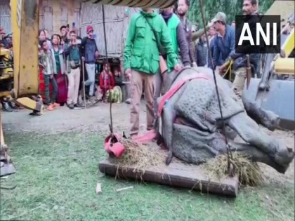 Strayed rhino rescued, taken to Assam State Zoo | Strayed rhino rescued, taken to Assam State Zoo
