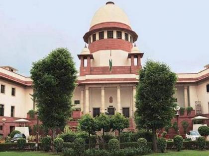 SC refers to larger bench matter pertaining to LMV driving licence | SC refers to larger bench matter pertaining to LMV driving licence