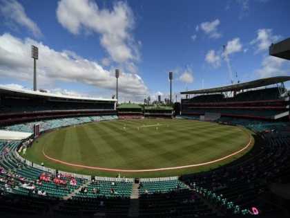 Ashes, 4th Test: Pink Village back to give fans themed entertainment zone at Sydney | Ashes, 4th Test: Pink Village back to give fans themed entertainment zone at Sydney