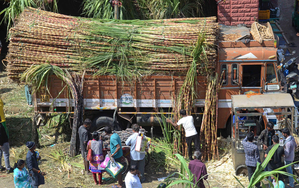 India’s sugar output to rise 15 pc at 35 million tonnes on favourable monsoon: Crisil | India’s sugar output to rise 15 pc at 35 million tonnes on favourable monsoon: Crisil India’s sugar output to rise 15 pc at 35 million tonnes on favourable monsoon: Crisil | India’s sugar output to rise 15 pc at 35 million tonnes on favourable monsoon: Crisil
