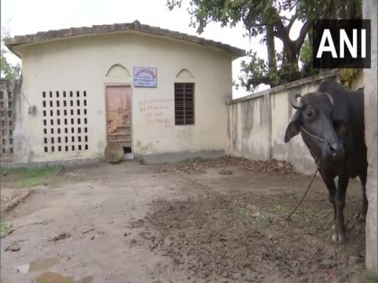 Primary Health Centres in Bihar's Samastipur in a sorry state, say villagers | Primary Health Centres in Bihar's Samastipur in a sorry state, say villagers