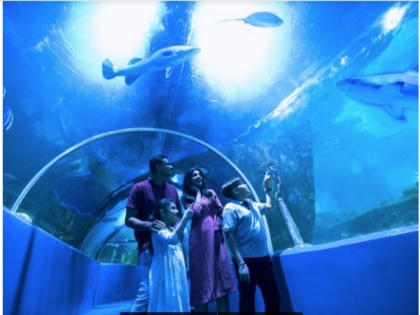 Underwater Tunnel, VGP Marine Kingdom becomes largest walk-through aquarium in India | Underwater Tunnel, VGP Marine Kingdom becomes largest walk-through aquarium in India