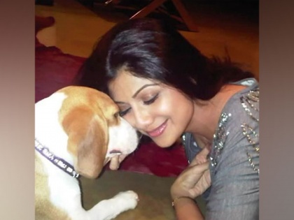Shilpa Shetty mourns the death of her dog Princess | Shilpa Shetty mourns the death of her dog Princess