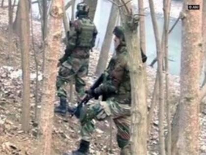 Cordon and search operation launched by security forces in Srinagar's Zadibal | Cordon and search operation launched by security forces in Srinagar's Zadibal