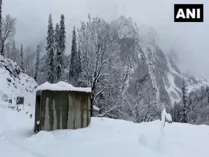 Shimla district gets first November snow in 15 years: IMD | Shimla district gets first November snow in 15 years: IMD