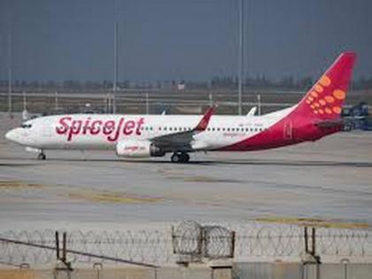 On not presenting negative COVID report, SpiceJet crew spent 21 hrs in plane, then returned | On not presenting negative COVID report, SpiceJet crew spent 21 hrs in plane, then returned