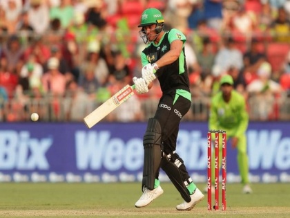 Marcus Stoinis named BBL's Player of the Tournament | Marcus Stoinis named BBL's Player of the Tournament